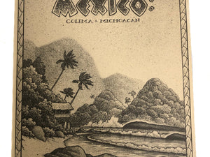THE SURFER’S GUIDE TO MAINLAND MEXICO - surferswarehouse THE SURFER’S GUIDE TO MAINLAND MEXICO Surfing books surferswarehouse.myshopify.com