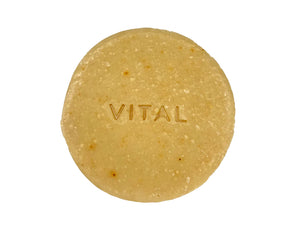 Zest Daze Shampoo Bar      Vital Surf Gear Lotion & Moisturizer surferswarehouse.myshopify.com