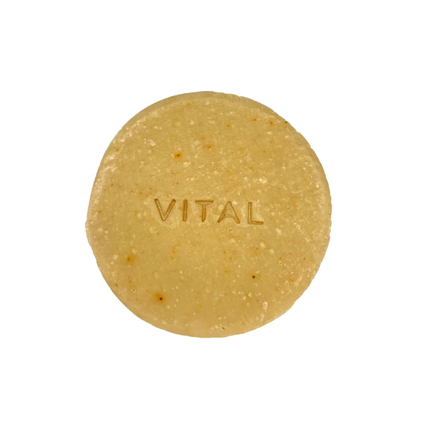 Zest Daze Shampoo Bar      Vital Surf Gear Lotion & Moisturizer surferswarehouse.myshopify.com