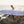 The Original Surf Scrunchie     Vital Surf Gear surfboard protection surferswarehouse.myshopify.com